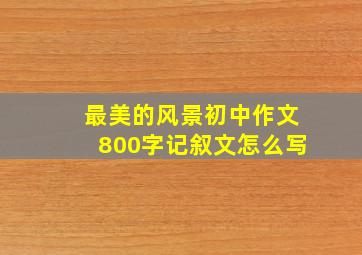 最美的风景初中作文800字记叙文怎么写