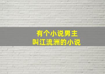 有个小说男主叫江流洲的小说