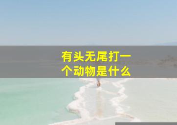 有头无尾打一个动物是什么