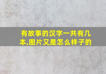 有故事的汉字一共有几本,图片又是怎么样子的