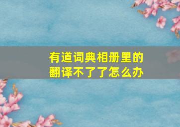 有道词典相册里的翻译不了了怎么办