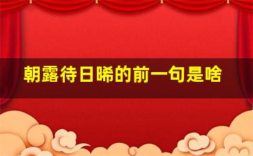 朝露待日晞的前一句是啥