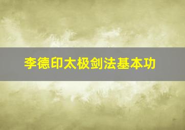 李德印太极剑法基本功