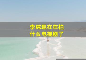 李纯现在在拍什么电视剧了