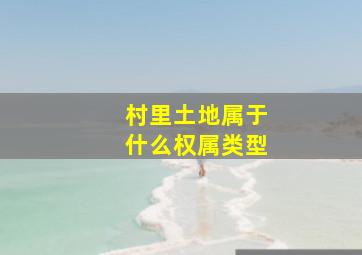 村里土地属于什么权属类型