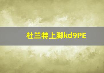 杜兰特上脚kd9PE