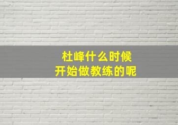 杜峰什么时候开始做教练的呢