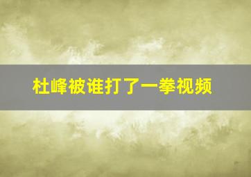 杜峰被谁打了一拳视频