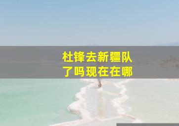 杜锋去新疆队了吗现在在哪