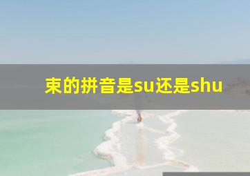 束的拼音是su还是shu