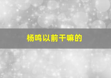 杨鸣以前干嘛的