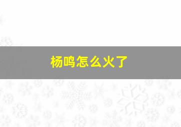 杨鸣怎么火了