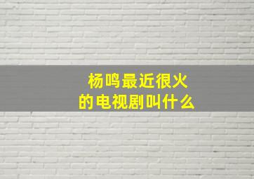 杨鸣最近很火的电视剧叫什么