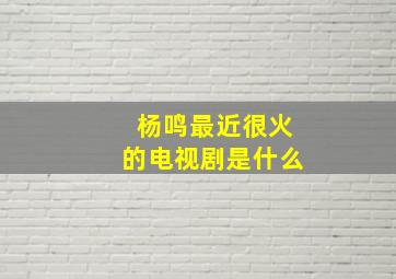 杨鸣最近很火的电视剧是什么