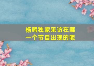 杨鸣独家采访在哪一个节目出现的呢