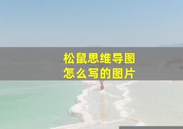 松鼠思维导图怎么写的图片