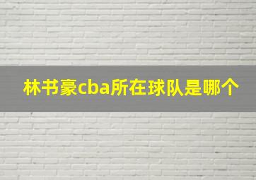 林书豪cba所在球队是哪个