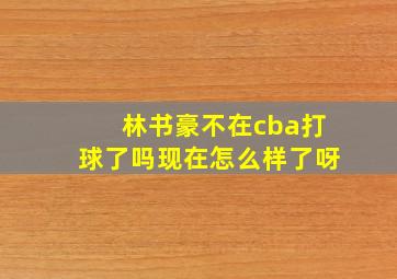 林书豪不在cba打球了吗现在怎么样了呀