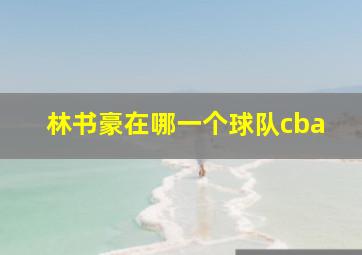 林书豪在哪一个球队cba