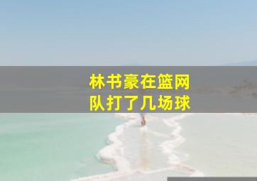 林书豪在篮网队打了几场球