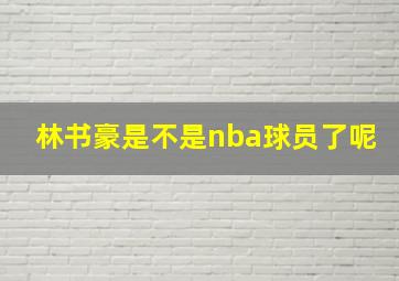 林书豪是不是nba球员了呢