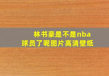 林书豪是不是nba球员了呢图片高清壁纸