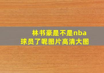 林书豪是不是nba球员了呢图片高清大图