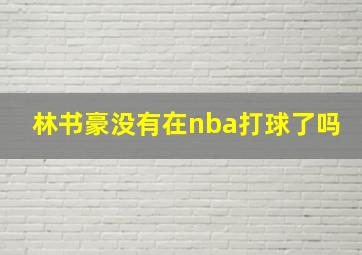 林书豪没有在nba打球了吗