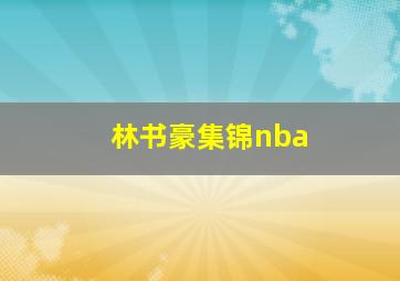 林书豪集锦nba