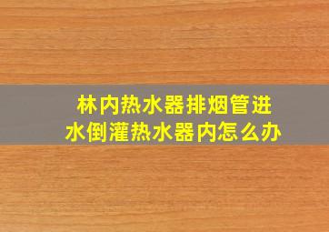 林内热水器排烟管进水倒灌热水器内怎么办