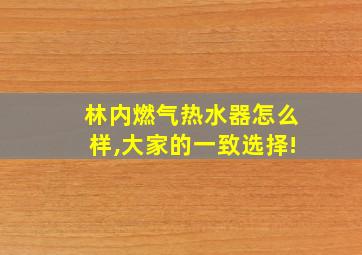 林内燃气热水器怎么样,大家的一致选择!