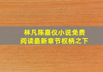 林凡陈嘉仪小说免费阅读最新章节权柄之下