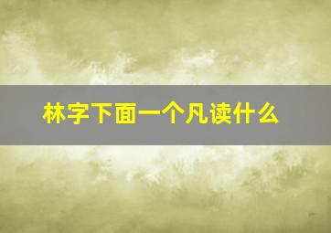 林字下面一个凡读什么