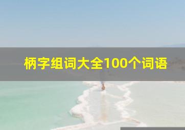 柄字组词大全100个词语