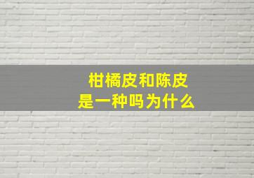 柑橘皮和陈皮是一种吗为什么