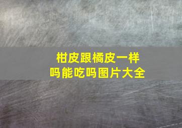 柑皮跟橘皮一样吗能吃吗图片大全