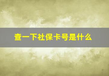 查一下社保卡号是什么