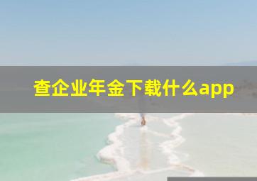 查企业年金下载什么app