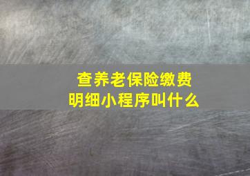 查养老保险缴费明细小程序叫什么