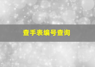 查手表编号查询