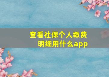 查看社保个人缴费明细用什么app