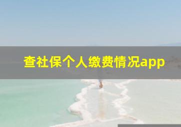 查社保个人缴费情况app