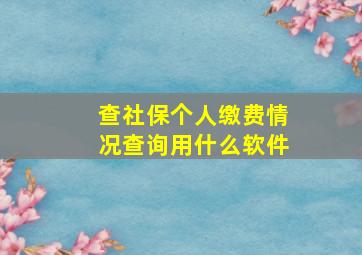 查社保个人缴费情况查询用什么软件