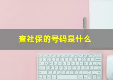 查社保的号码是什么