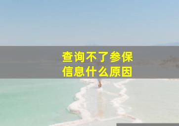 查询不了参保信息什么原因