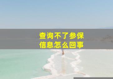 查询不了参保信息怎么回事