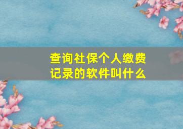 查询社保个人缴费记录的软件叫什么