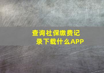 查询社保缴费记录下载什么APP