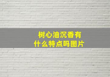 树心油沉香有什么特点吗图片