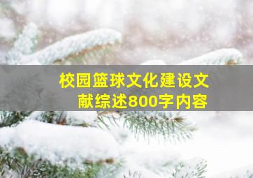 校园篮球文化建设文献综述800字内容